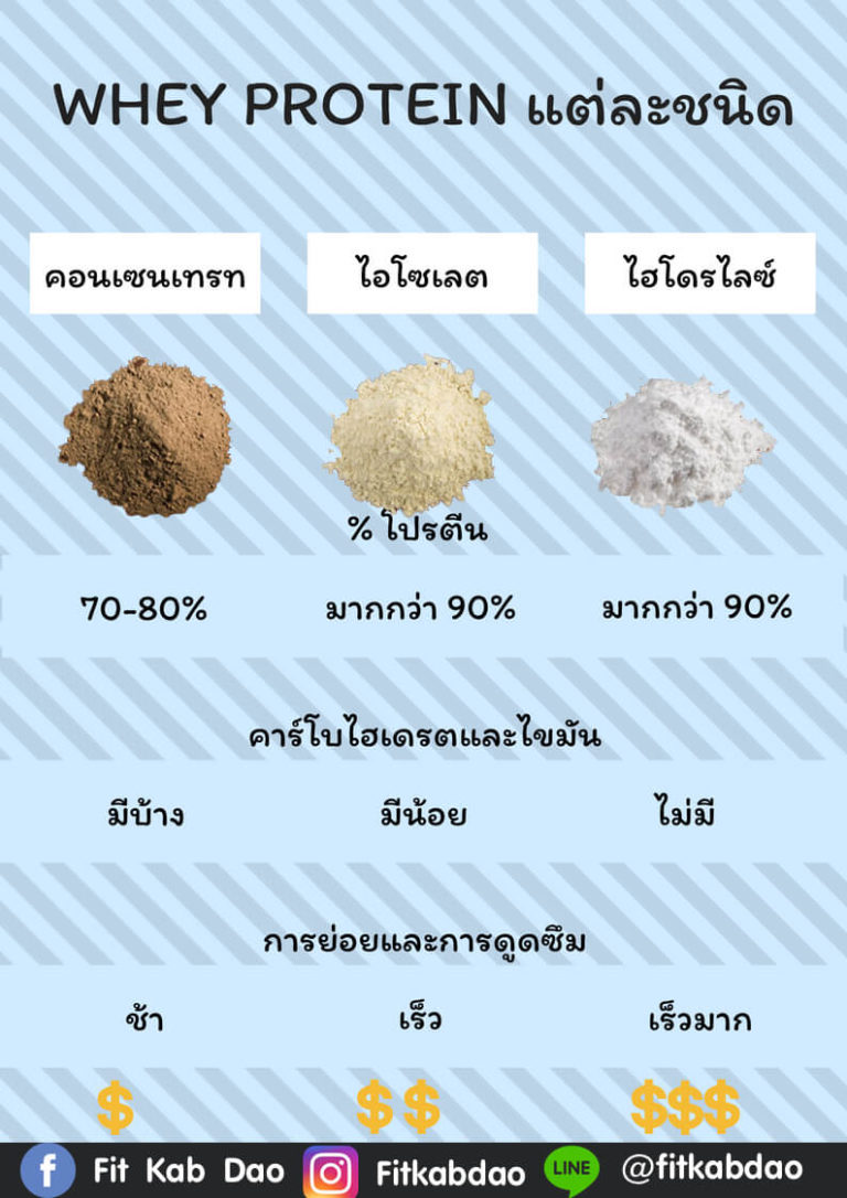 โปรตีนช่วยอะไร